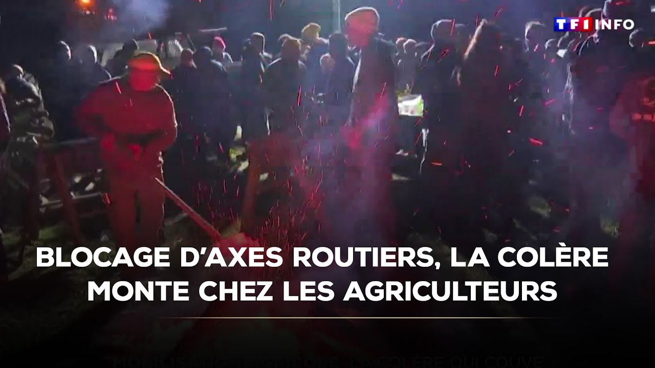 Dermatose nodulaire: blocage d'axes routiers, la colère monte chez les agriculteurs ｜TF1 INFO