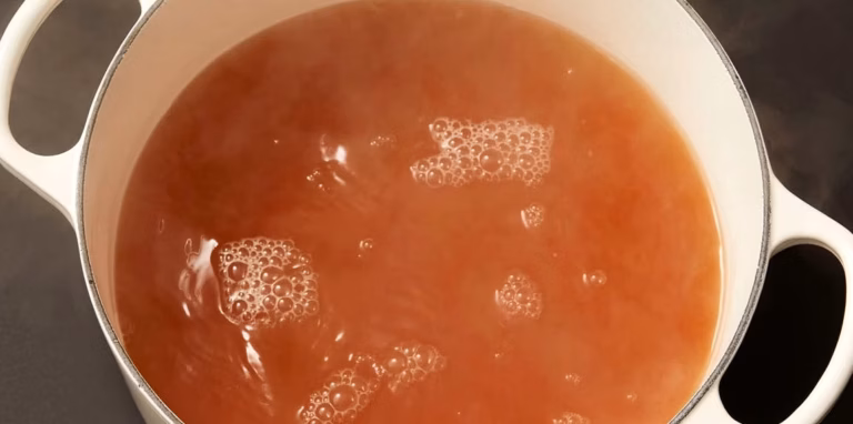 Physalies : ces méduses pouvant provoquer de graves brûlures