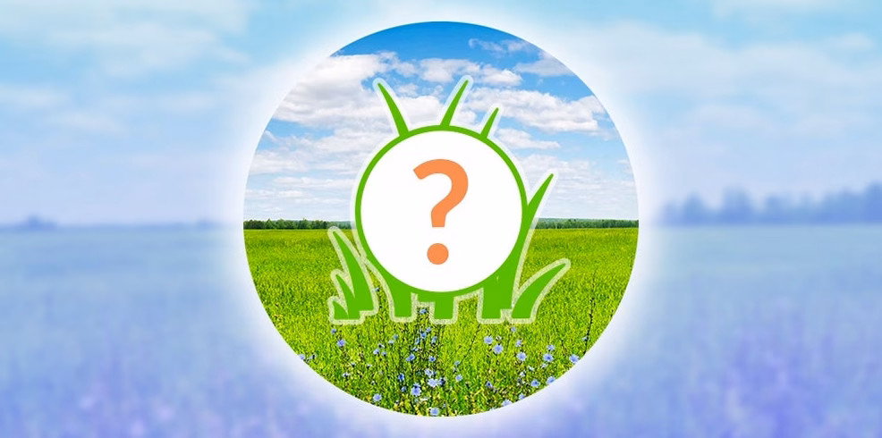 « Une réponse encore trop timide » : quelle est la véritable place de l’écologie dans la campagne présidentielle ?